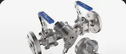 Manifold (STS17.2)